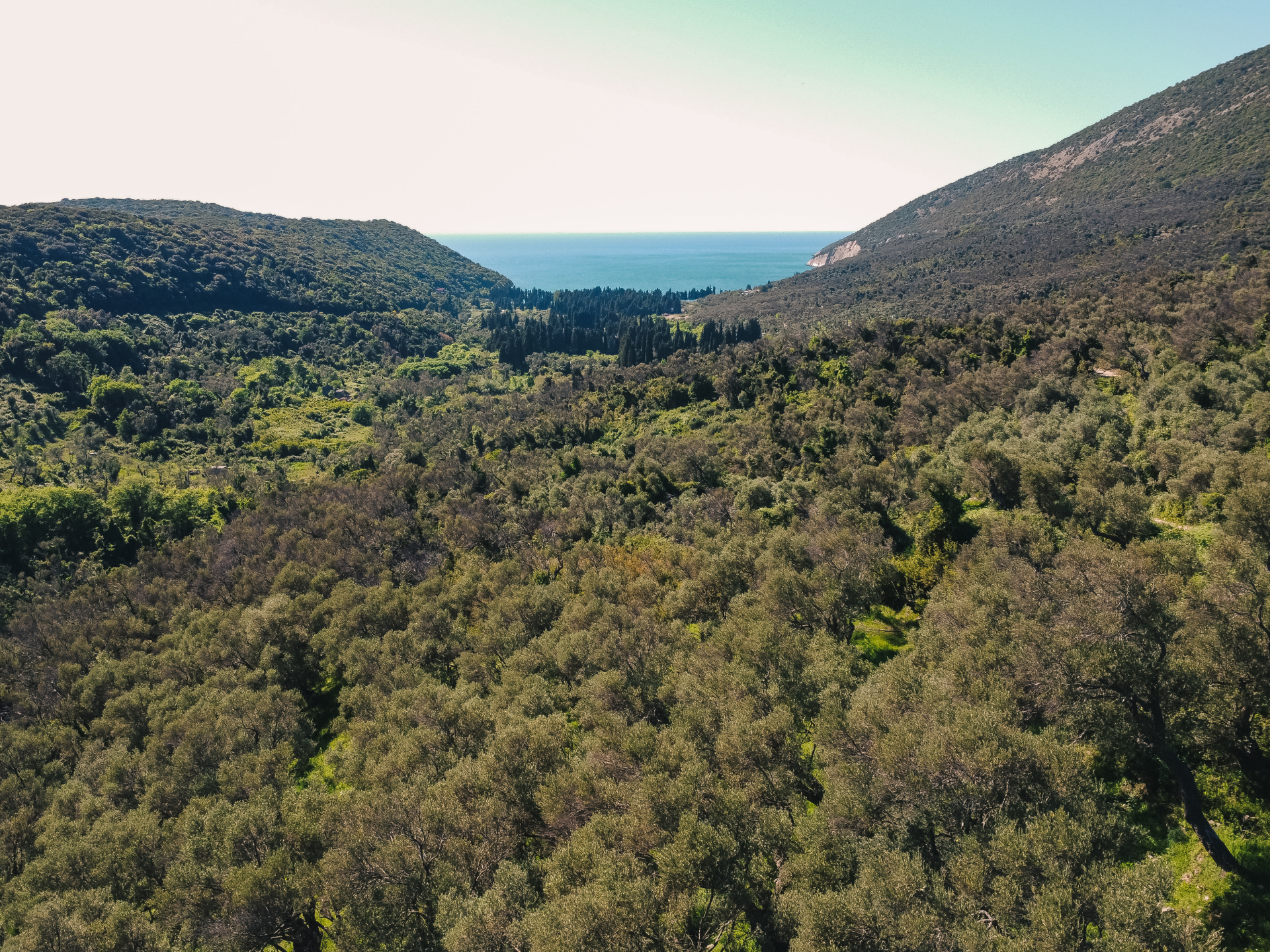 Land Ulcinj 3030m2 - 12