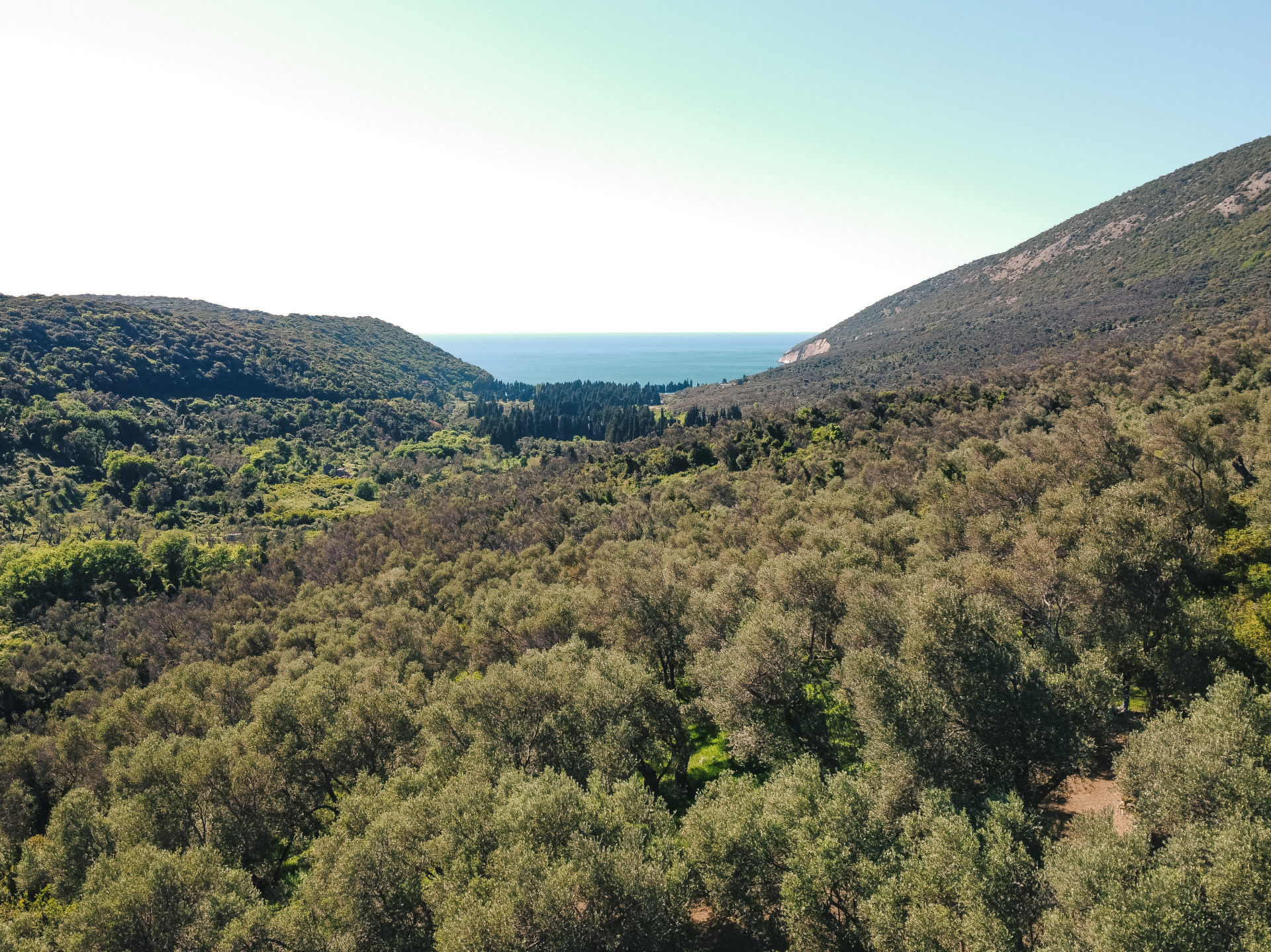 Land Ulcinj 3030m2 - 13