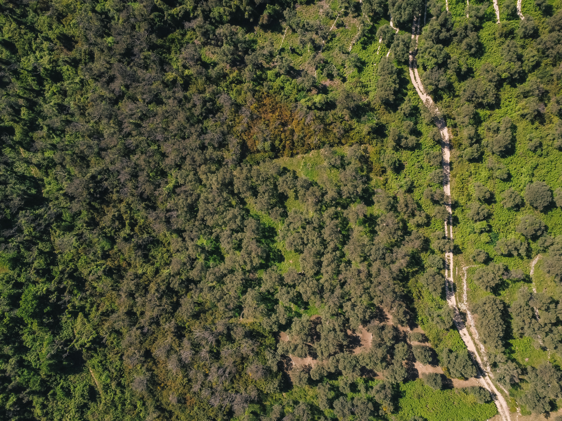 Land Ulcinj 3030m2 - 16