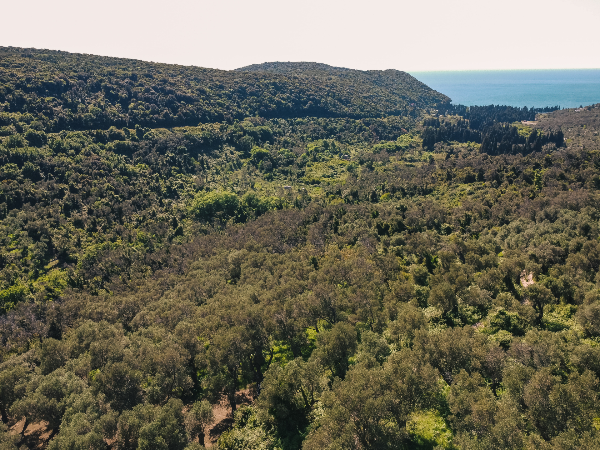 Land Ulcinj 3030m2 - 3