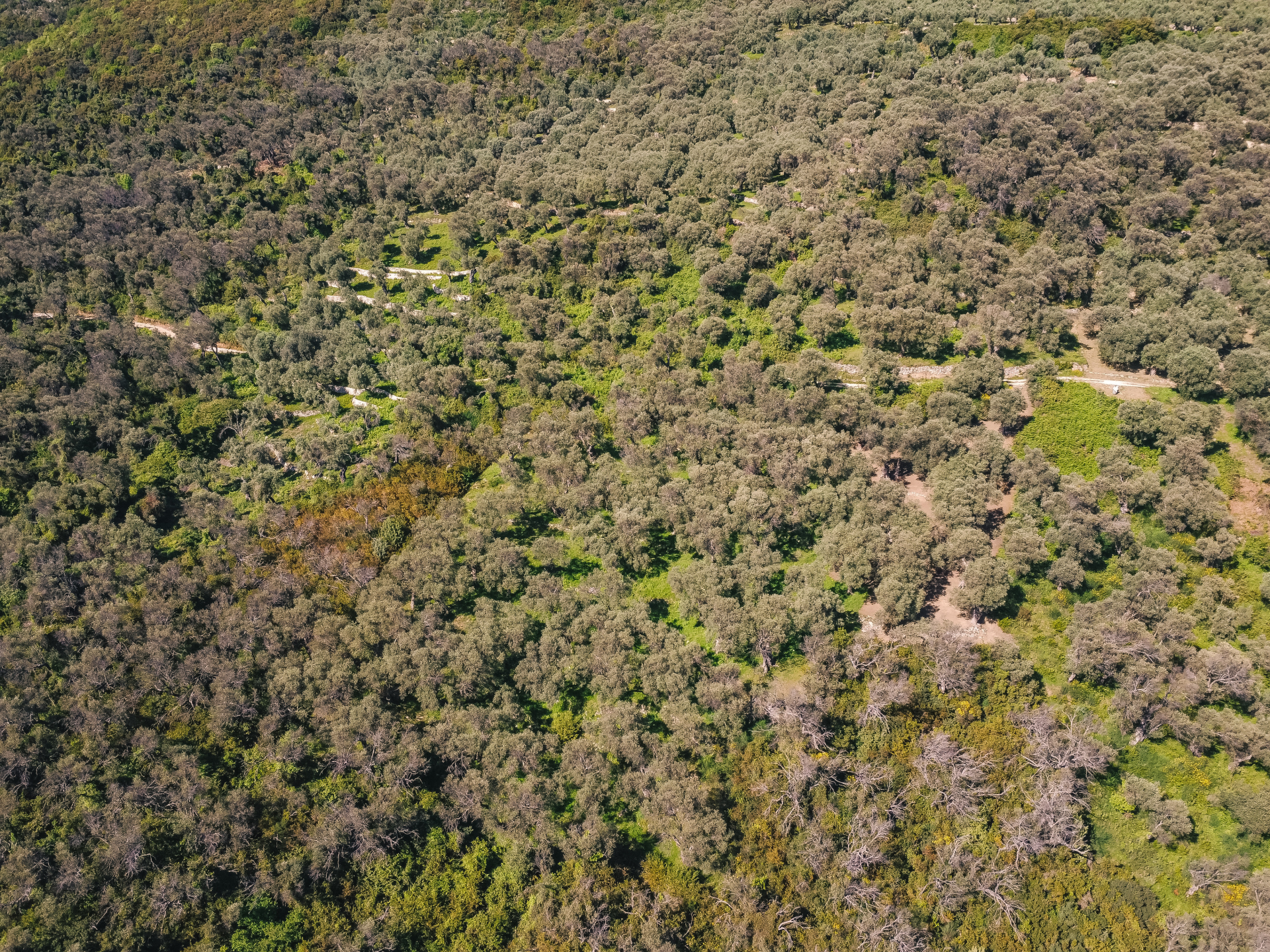 Land Ulcinj 3030m2 - 8