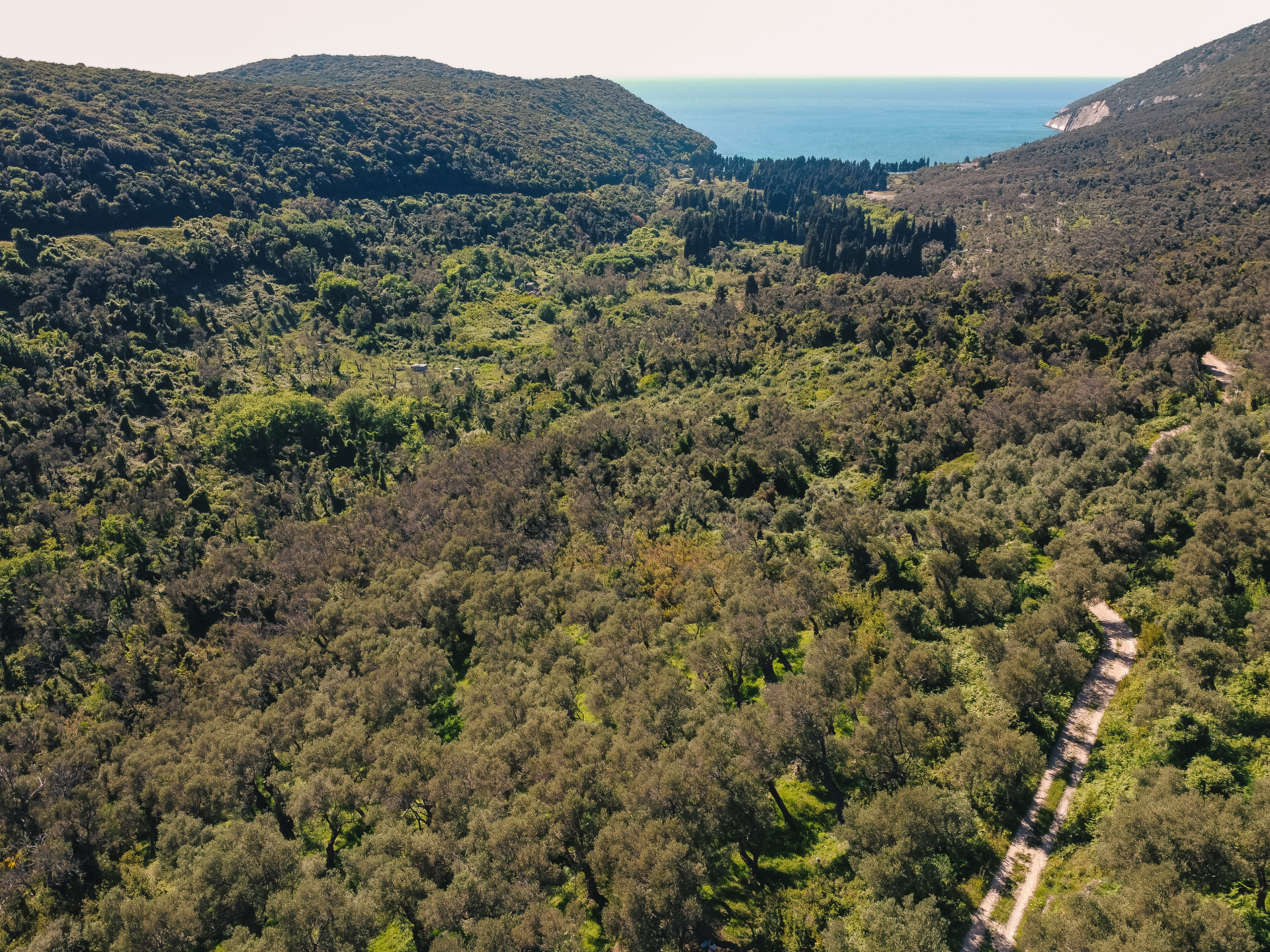 Land Ulcinj 3030m2 - 7