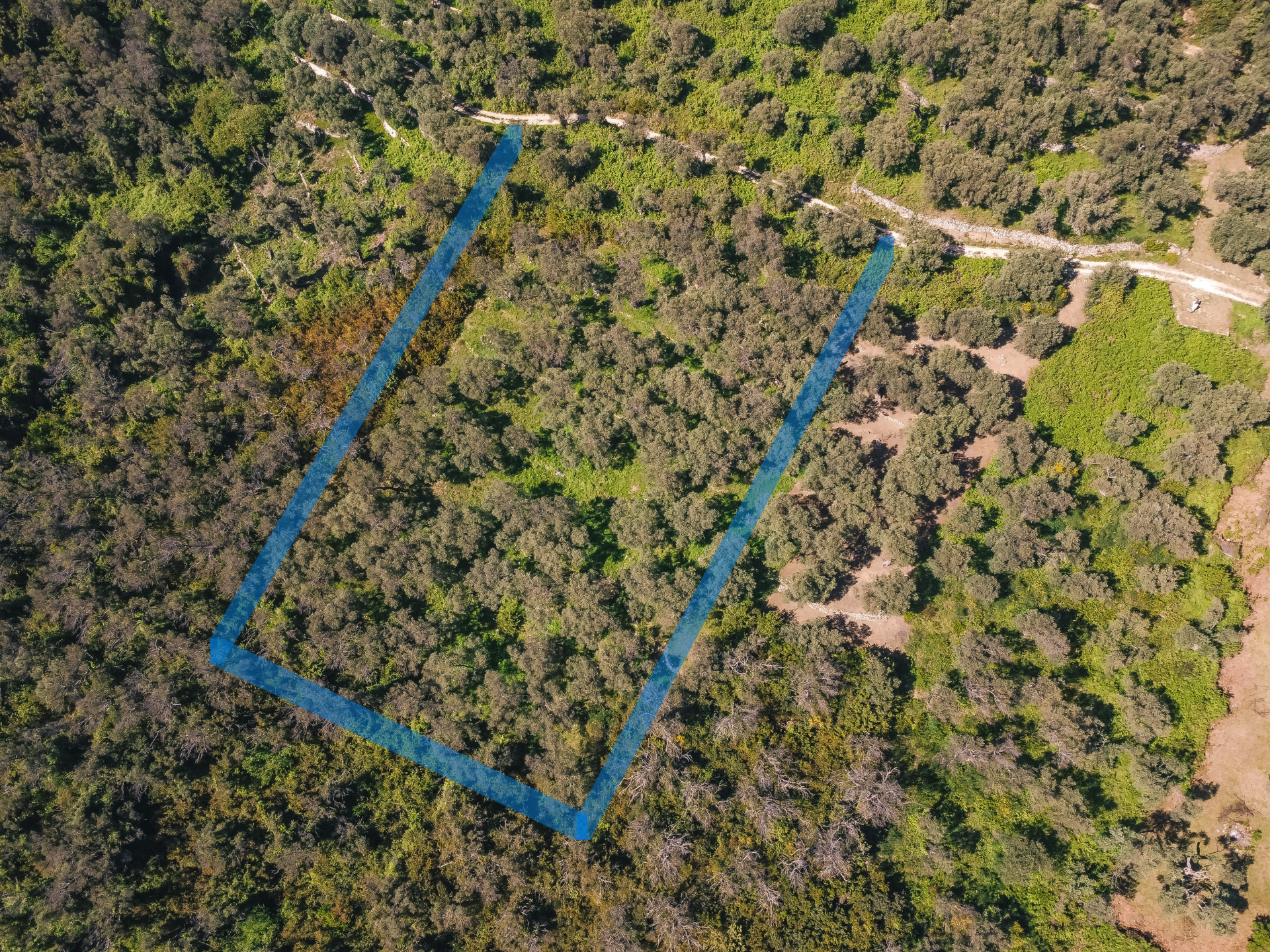 Land Ulcinj 3030m2 - 9