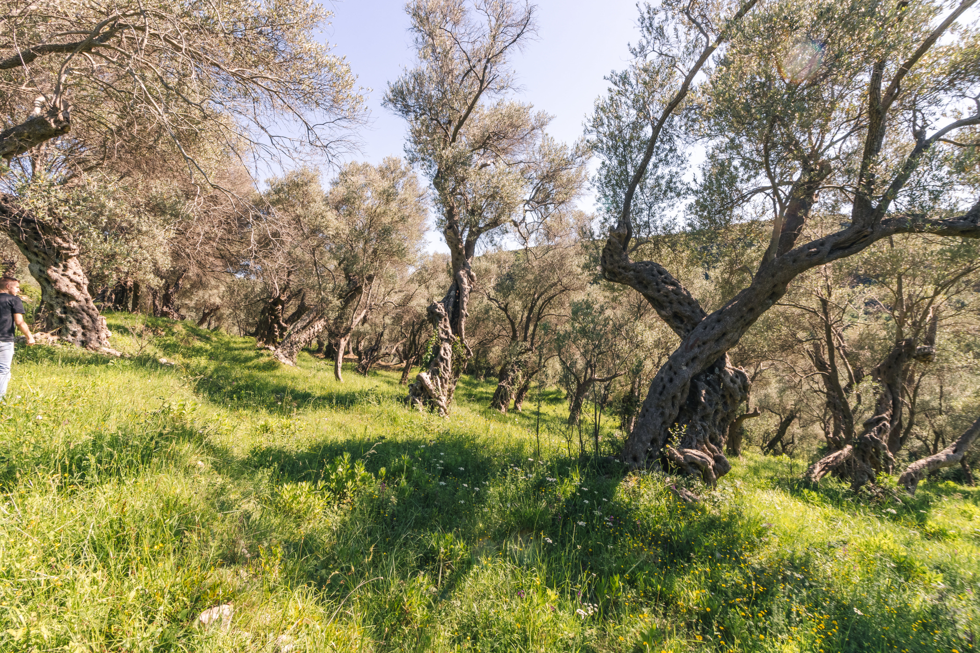 Land Ulcinj 3030m2 - 22