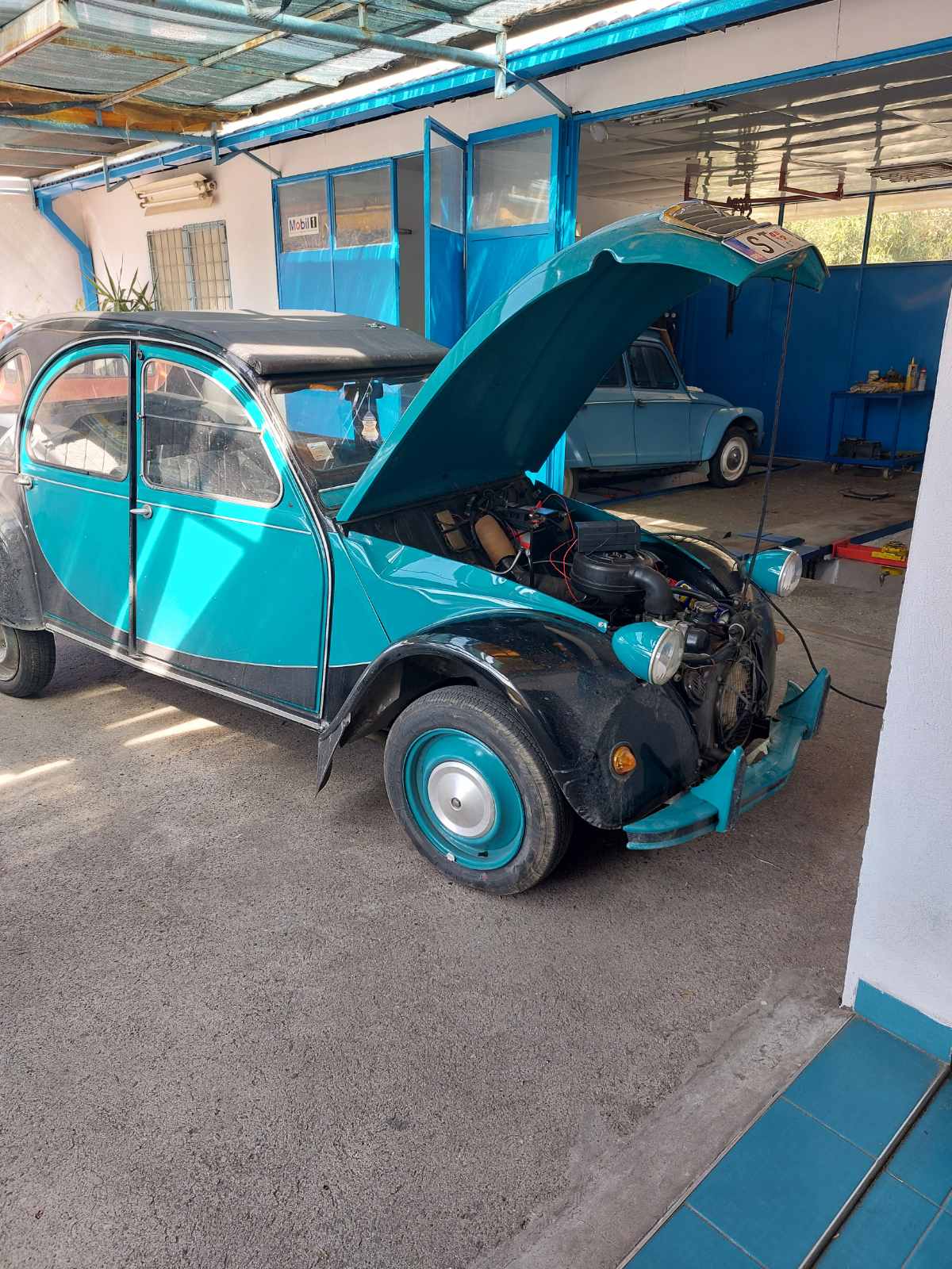 Poslovni Prostor Sutomore 320m2 - 6