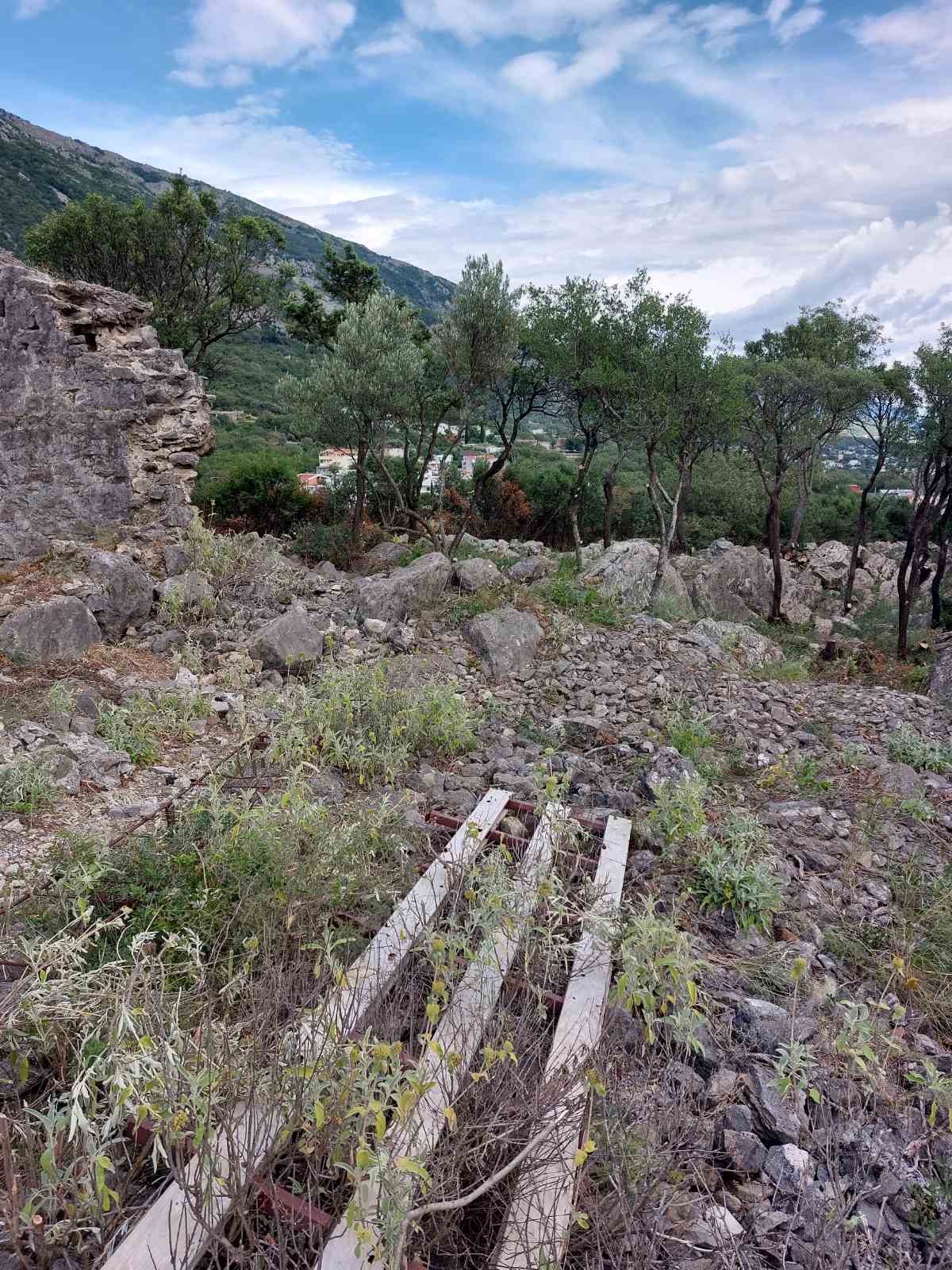Land Sutomore 5000m2 - 4