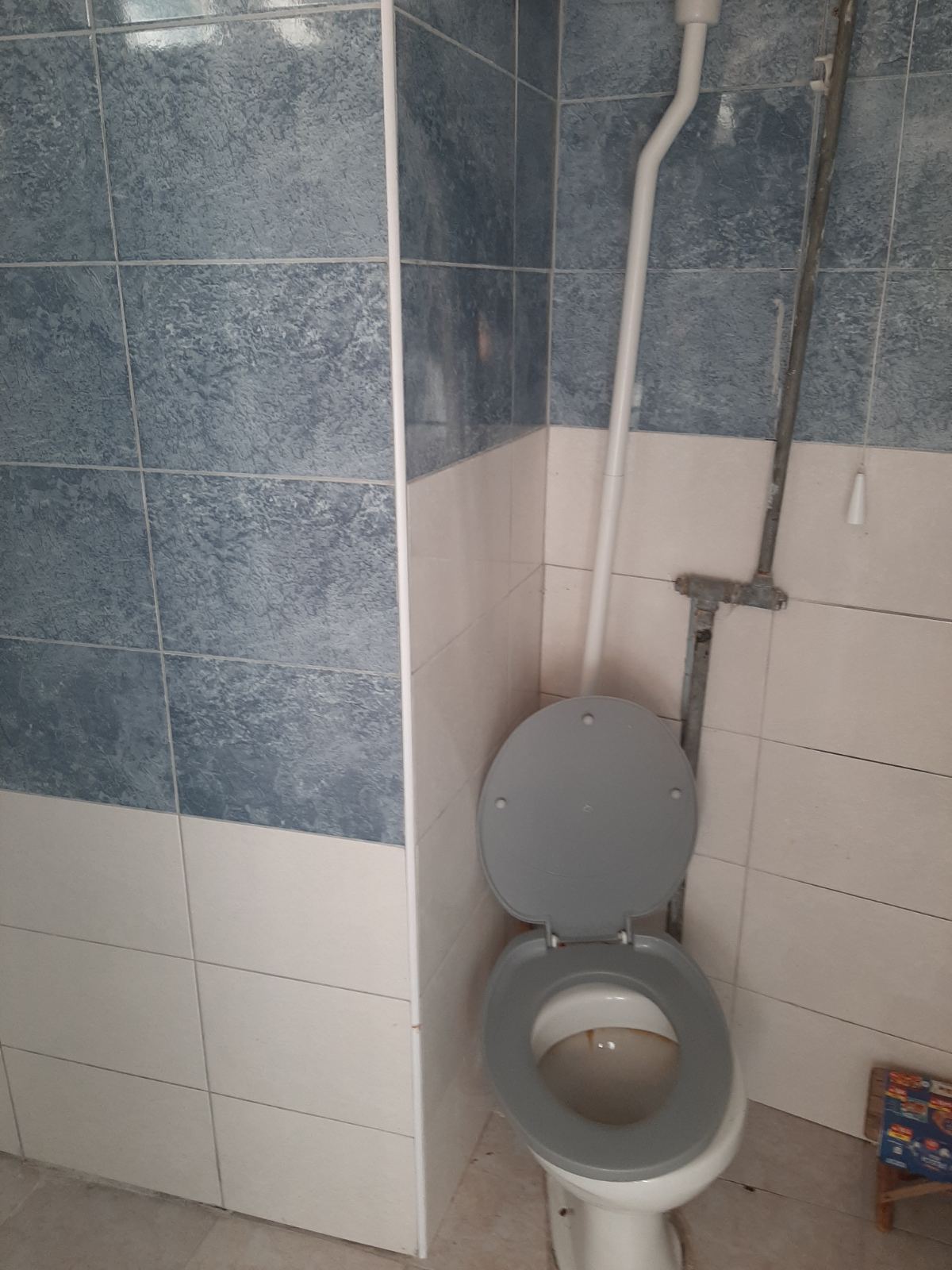 Bar - Property photo