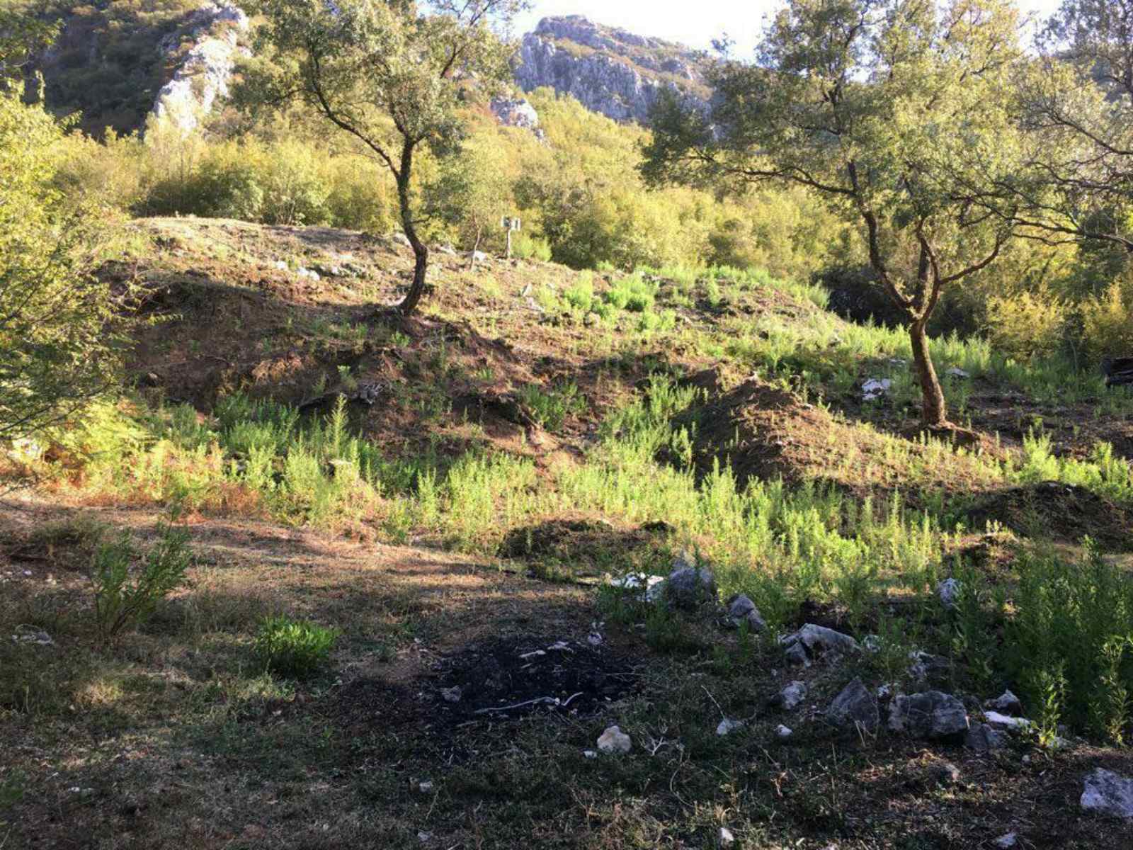 Tudjemili'de 1000m2'lik Arazi - 3