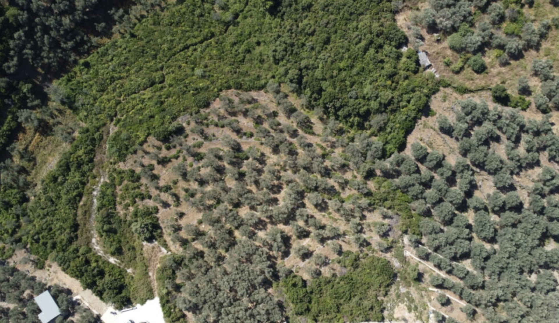 Земля Валданос 1996м2 - 2