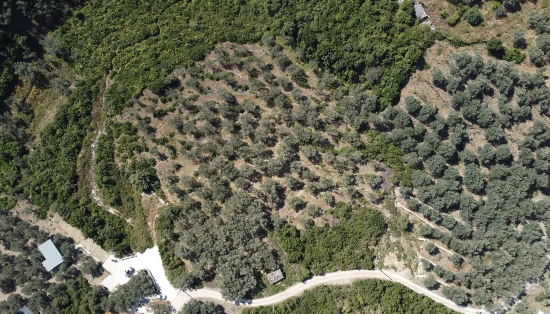 Земля Валданос 1996м2 - 3