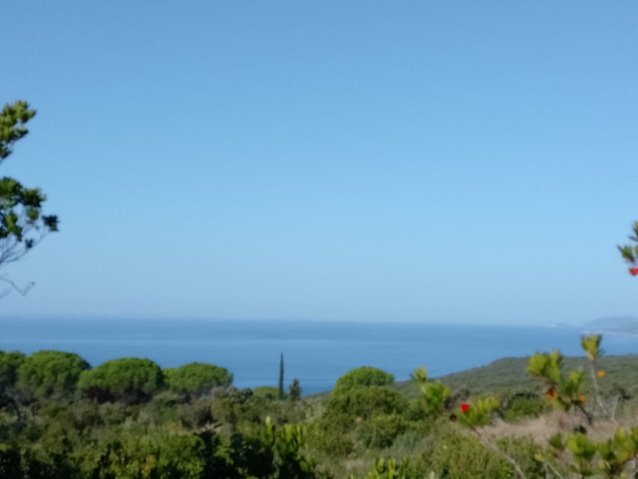 2 урбанизированных участка Загора 1000м2