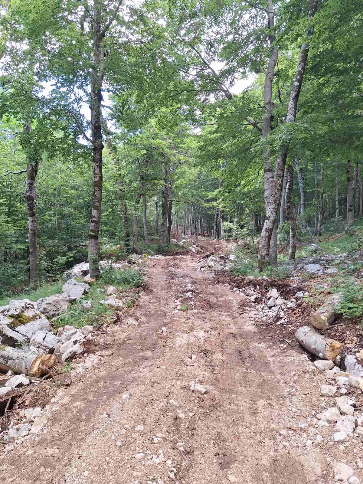 Land Krivošije Gornje 6368373m2