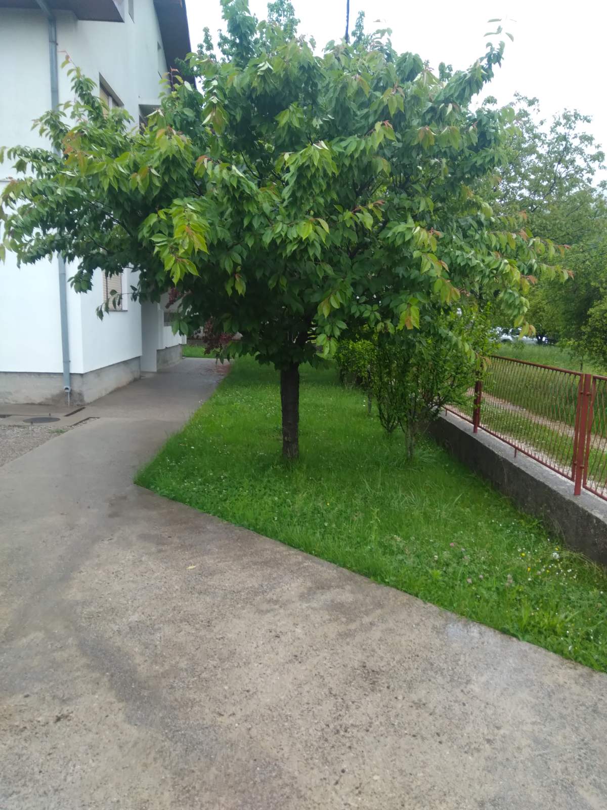 House Donji Kraj 106m2 - 2