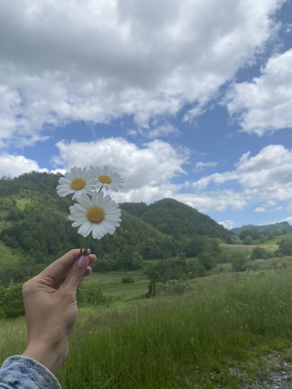 Zemljiste Verusa 13266m2 - 2