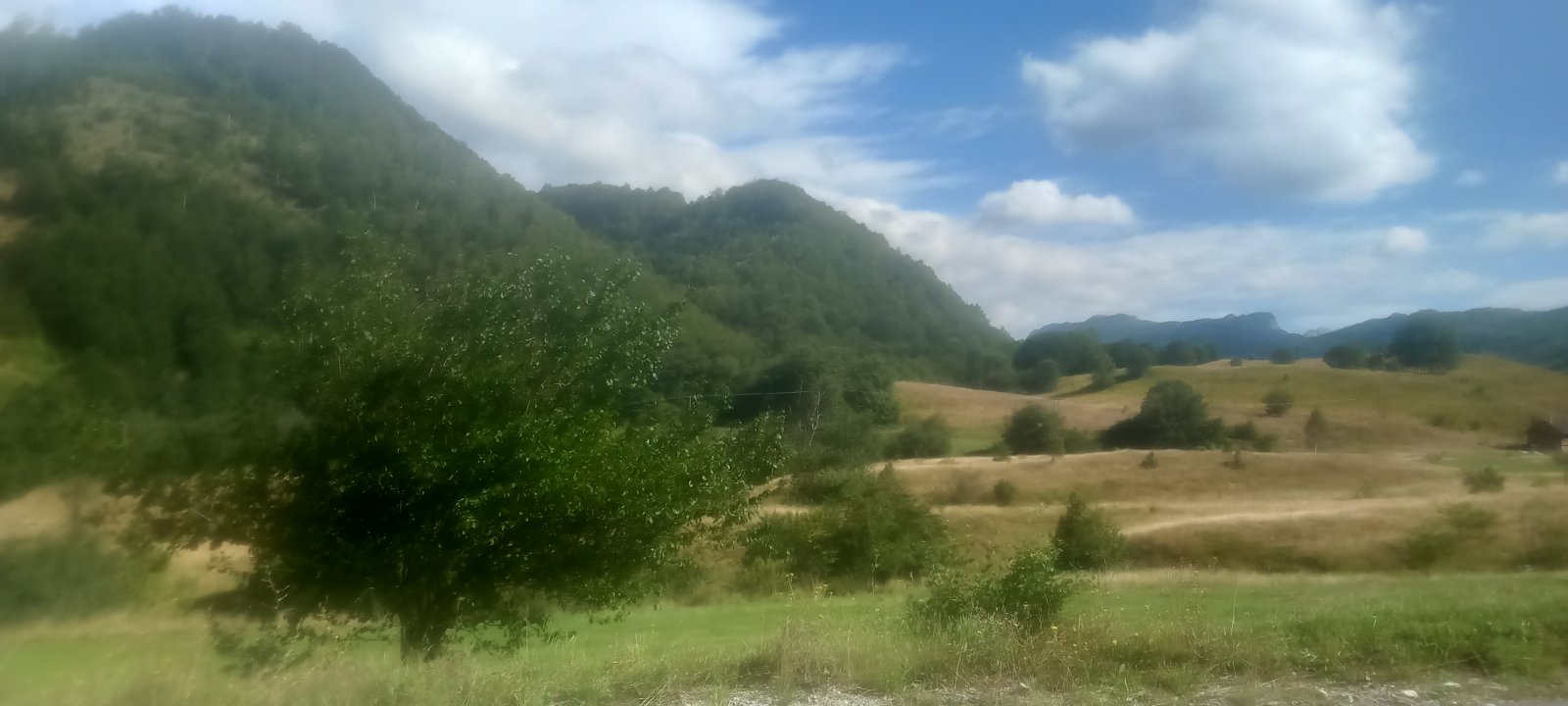 Zemljiste Verusa 13266m2 - 3