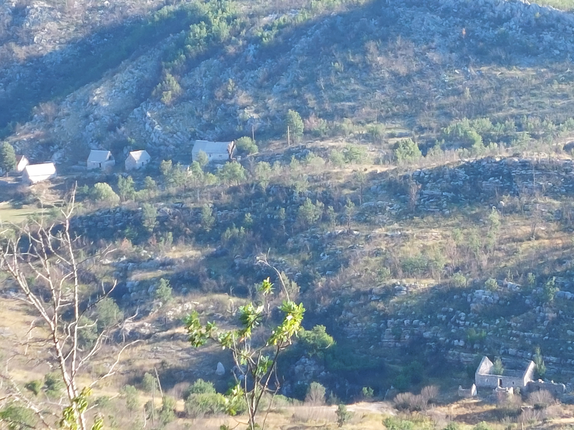 Zemljiste Brestice 48000m2 - 4