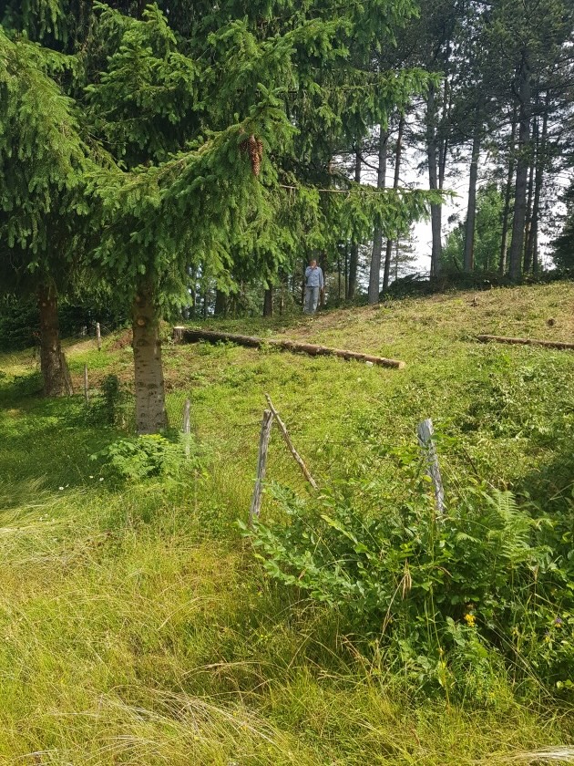 Land Kolasin 208m2 - 2