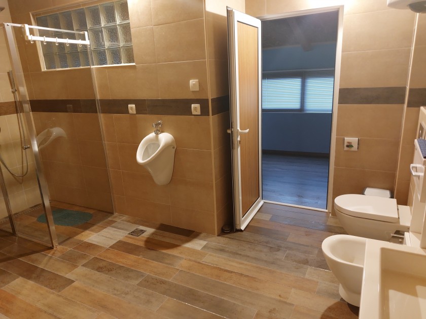 House Radovici 370m2 - 10