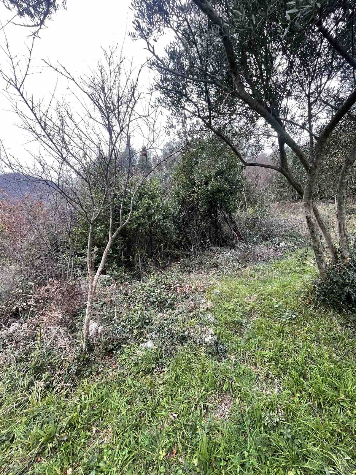 Land Kamenari 750m2 - 4