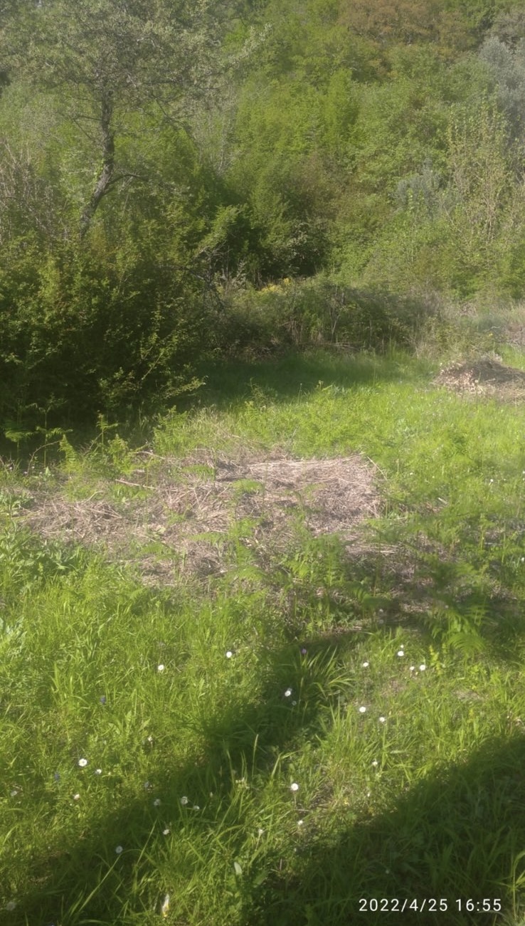 Plot Buljarica 518m2