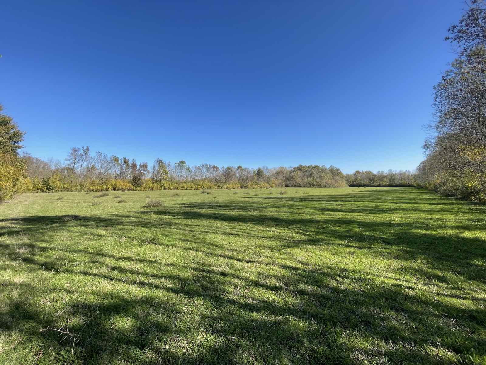 Zemljiste Štodra 21000m2 - 7