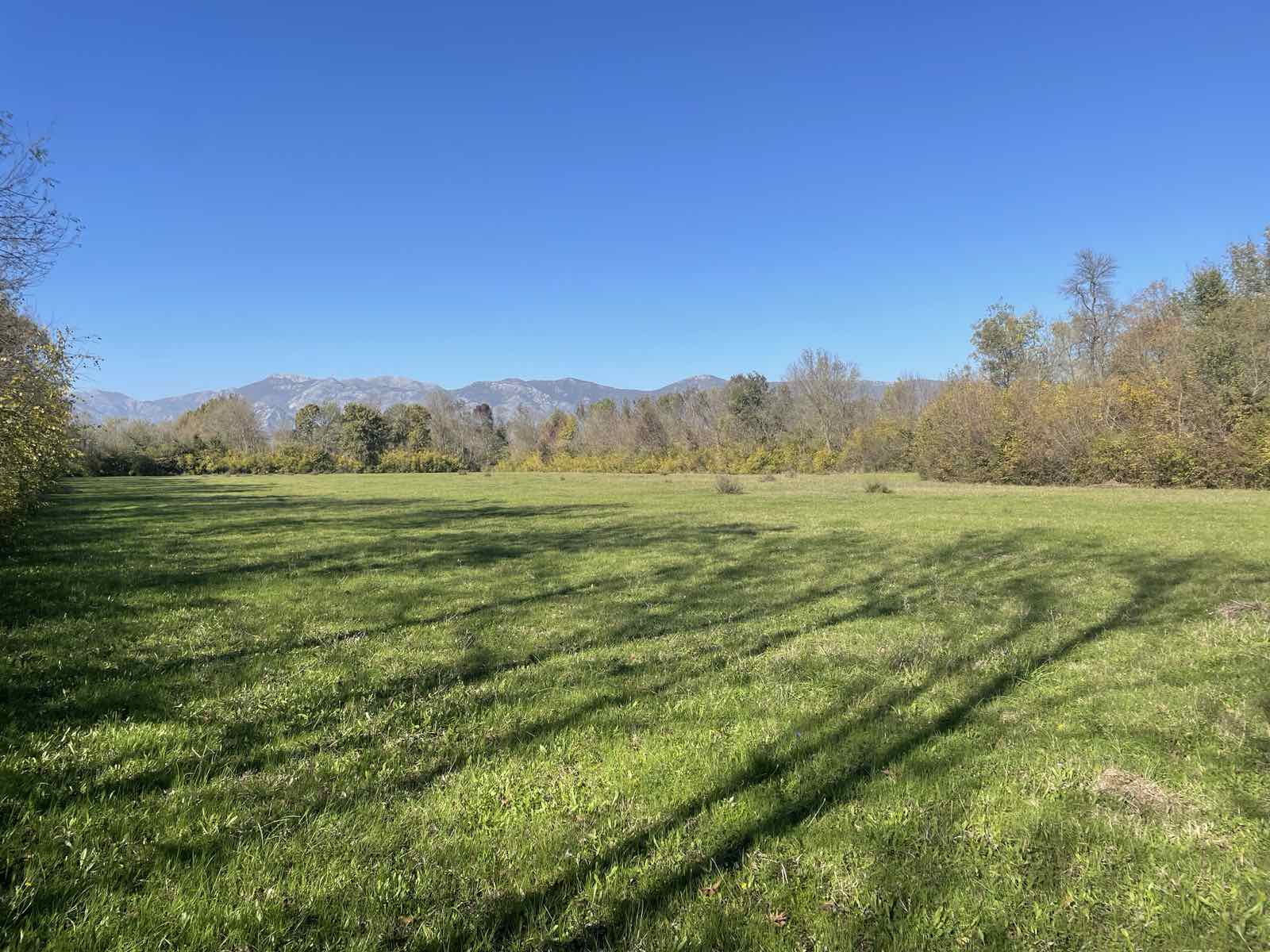 Zemljiste Štodra 21000m2 - 5