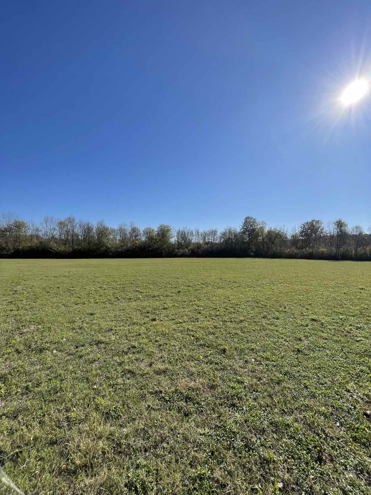 Zemljiste Štodra 21000m2 - 6