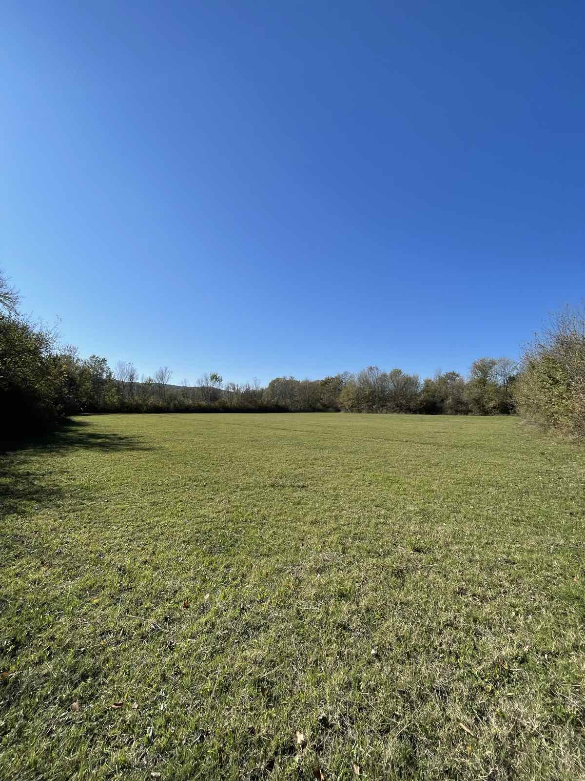 Zemljiste Štodra 21000m2 - 2