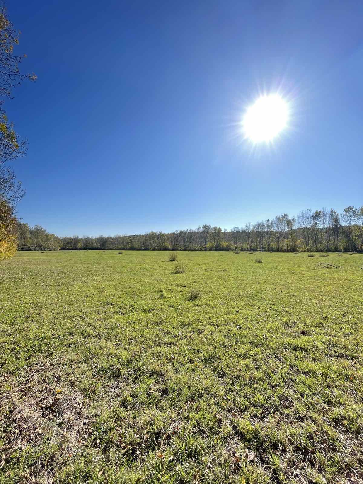 Zemljiste Štodra 21000m2 - 3