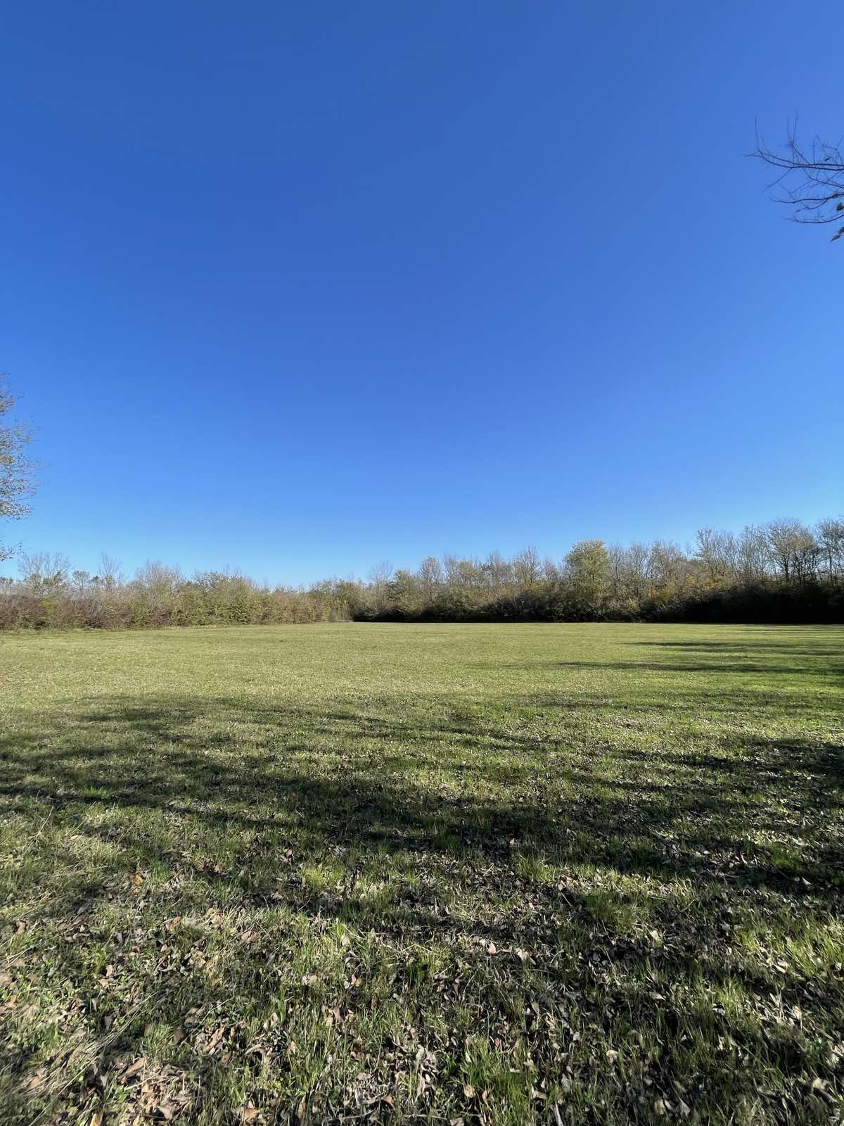 Zemljiste Štodra 21000m2 - 4