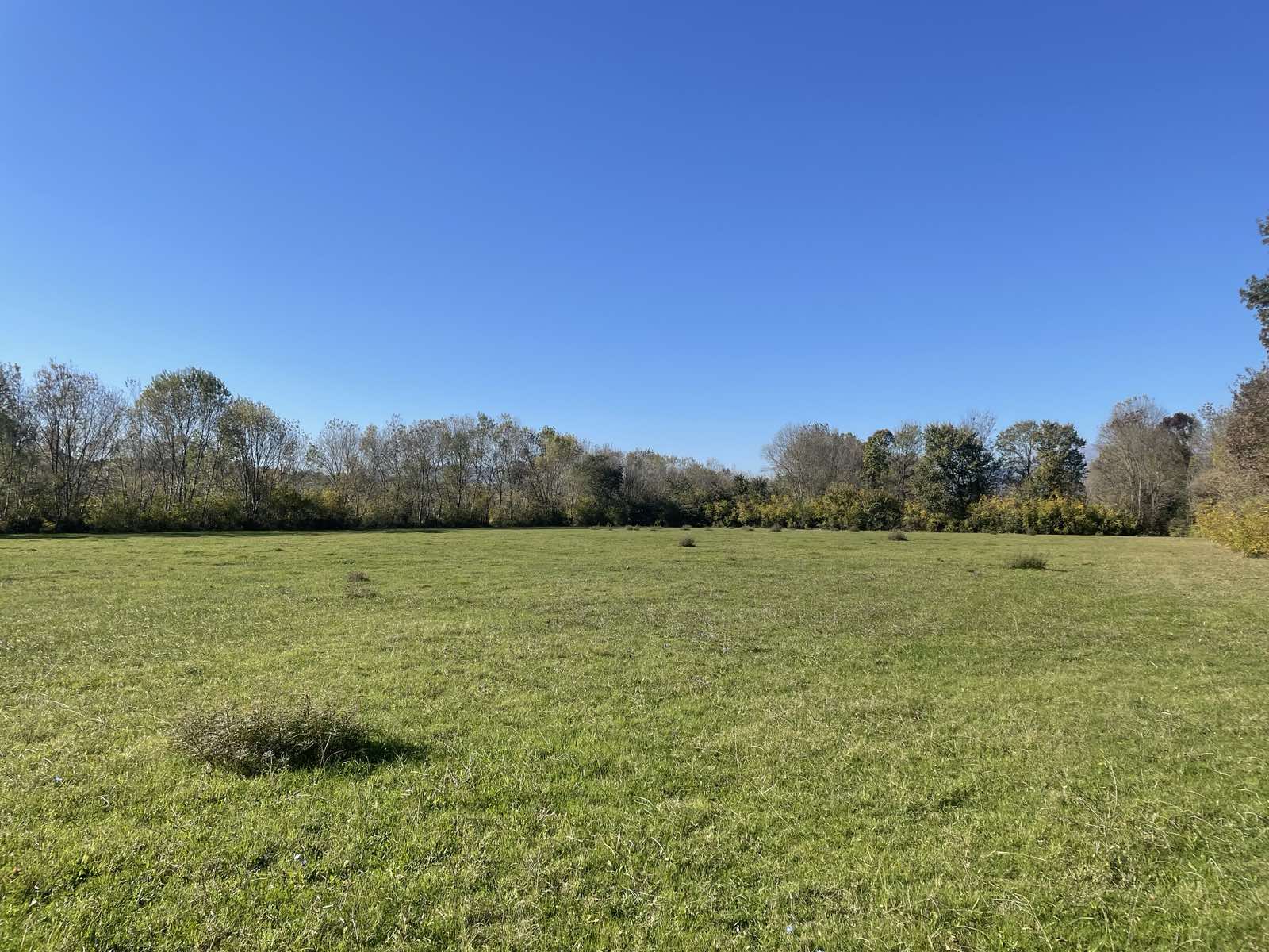 Zemljiste Štodra 21000m2 - 8