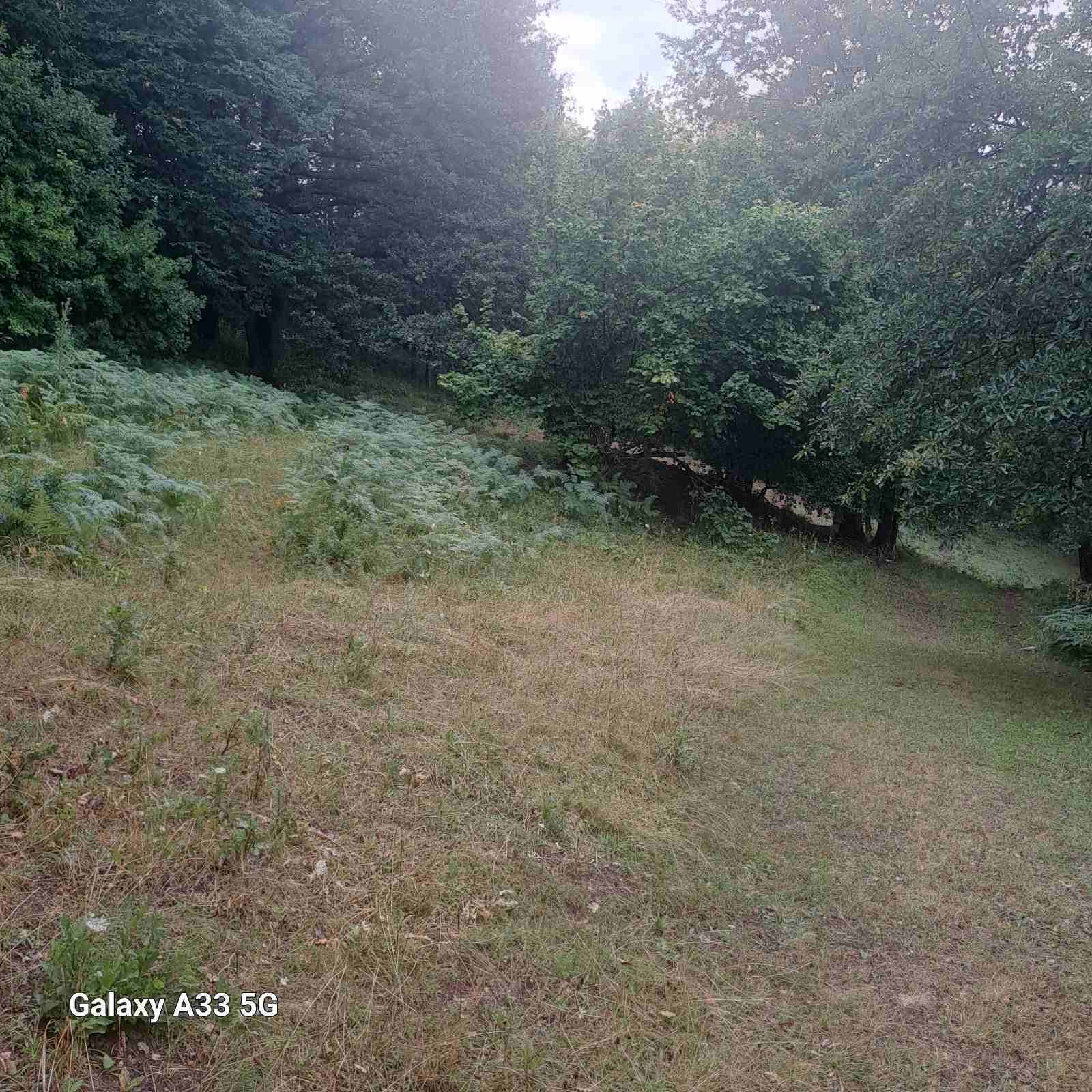 Land Tara 16000m2 - 6