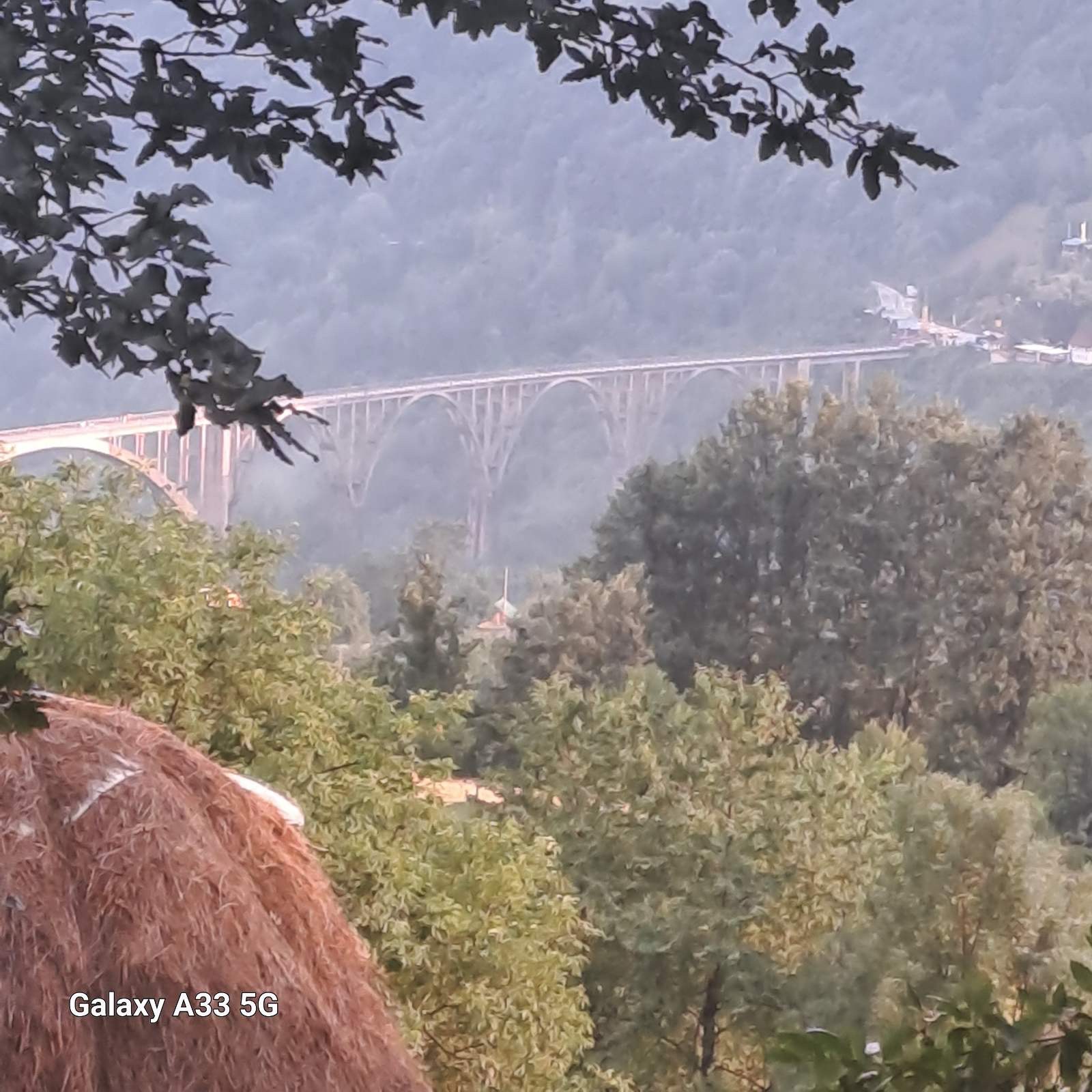 Land Tara 16000m2 - 7