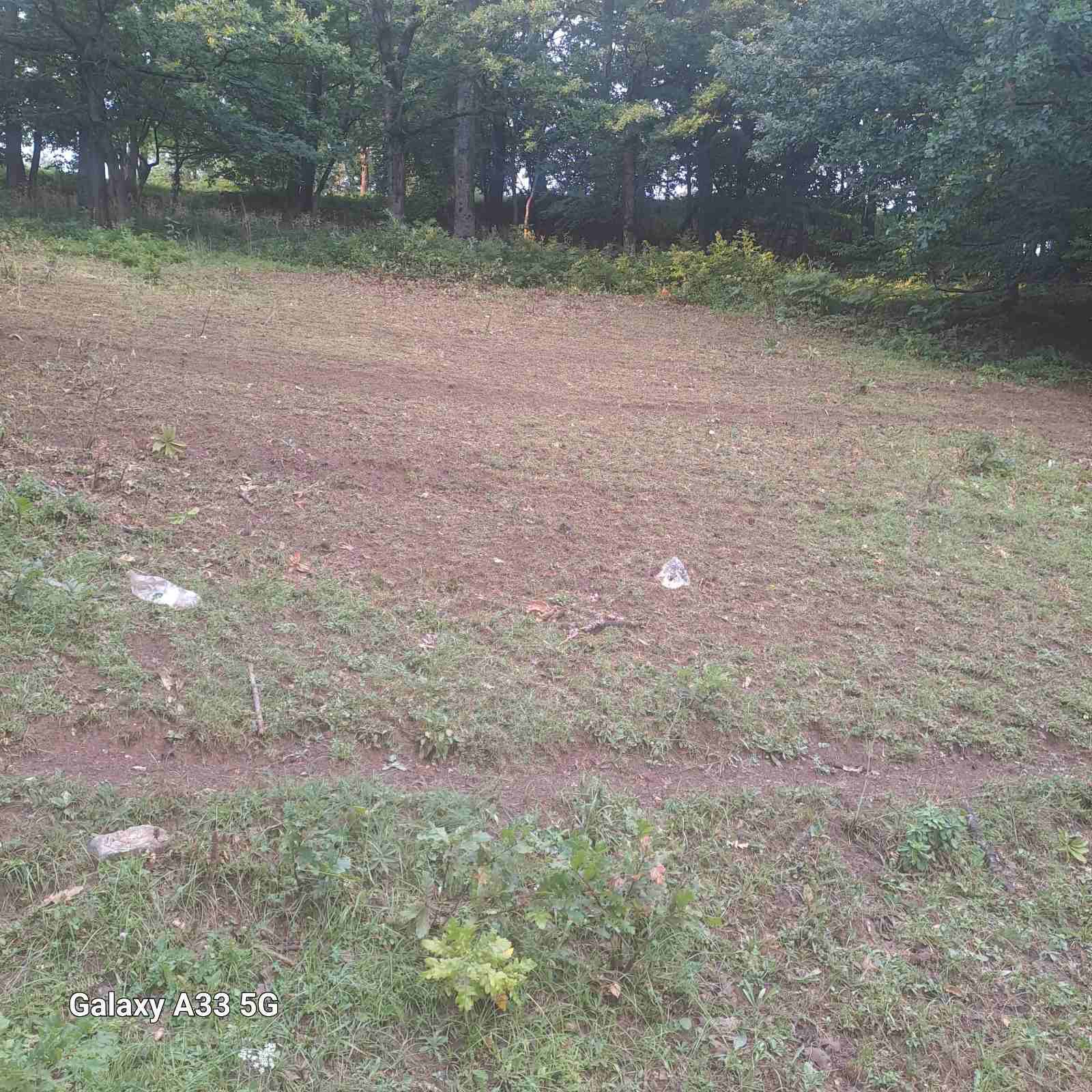 Land Tara 16000m2 - 3