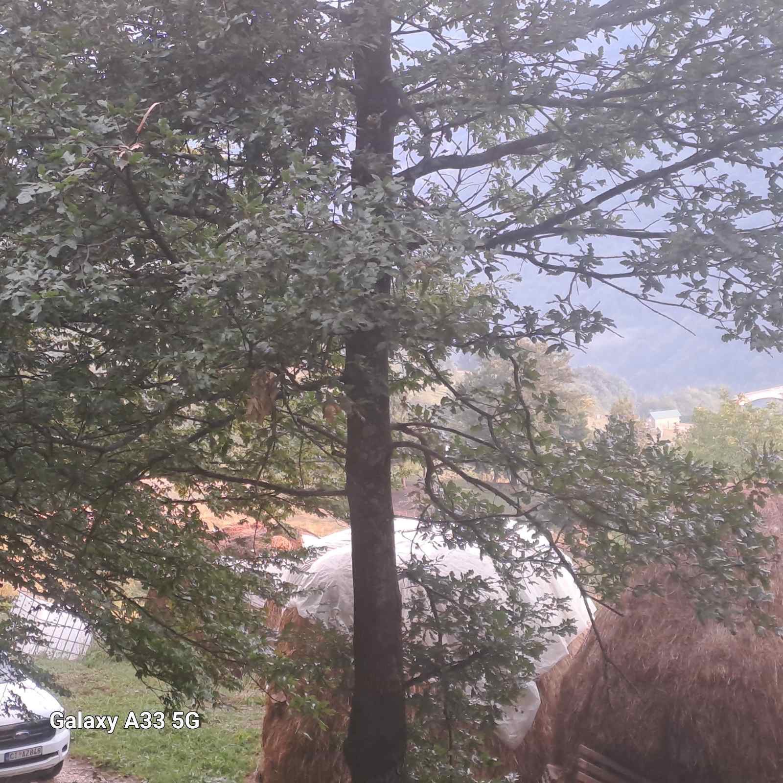 Land Tara 16000m2 - 8