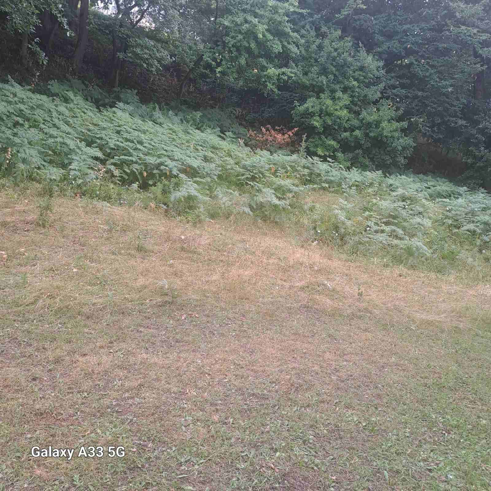 Land Tara 16000m2 - 4