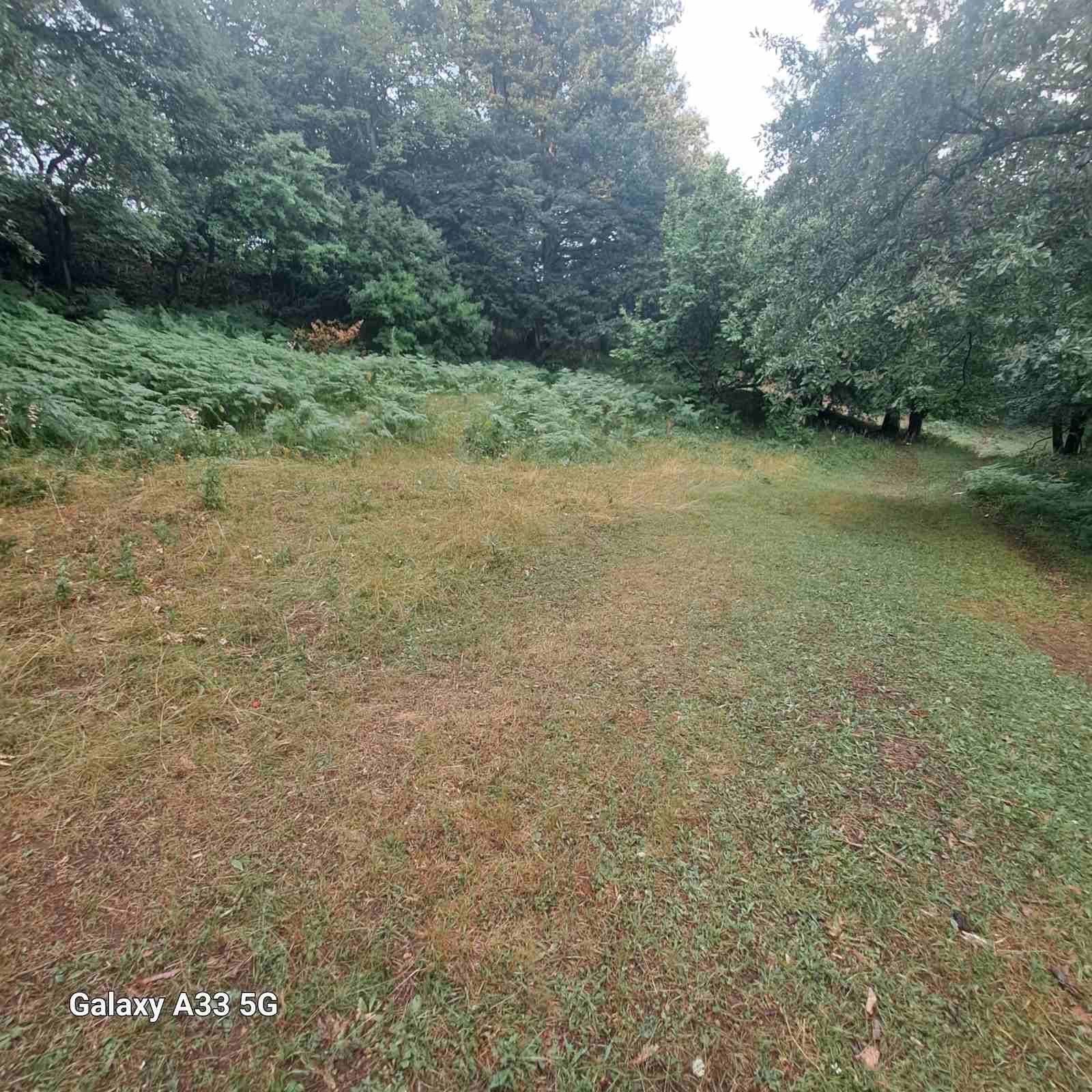 Land Tara 16000m2 - 5