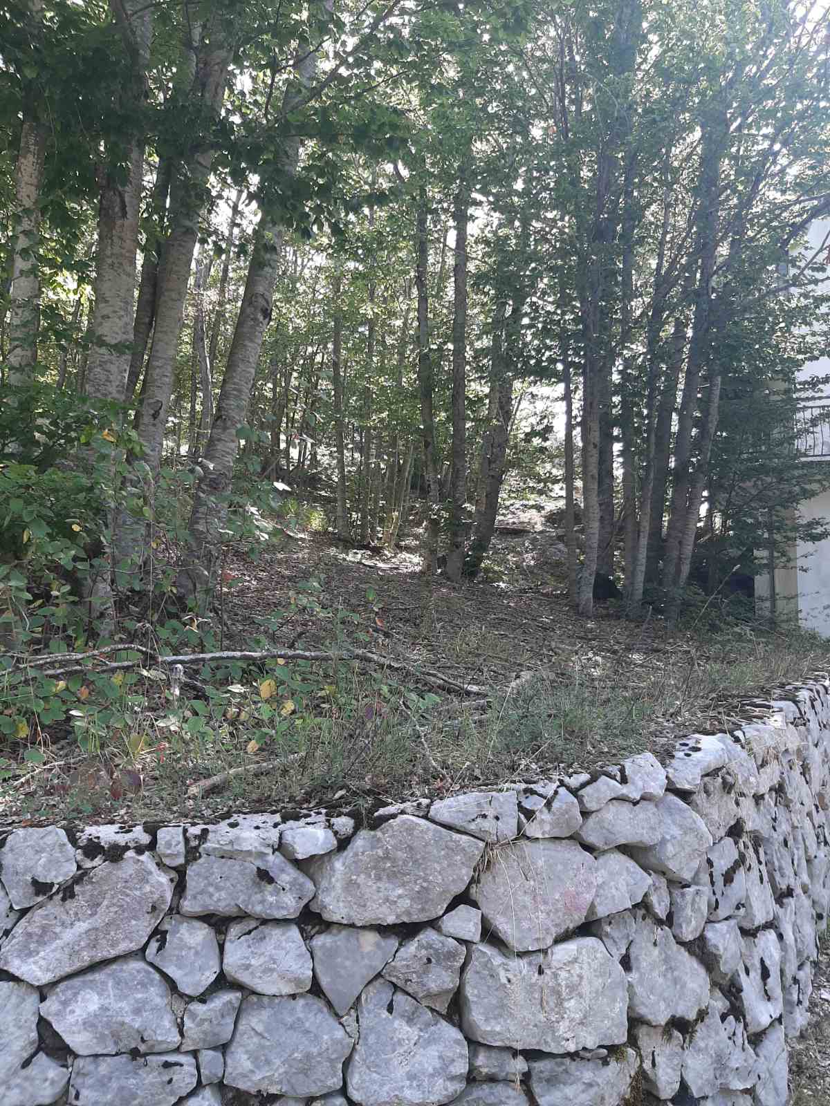 House Cetinje 200m2 - 4