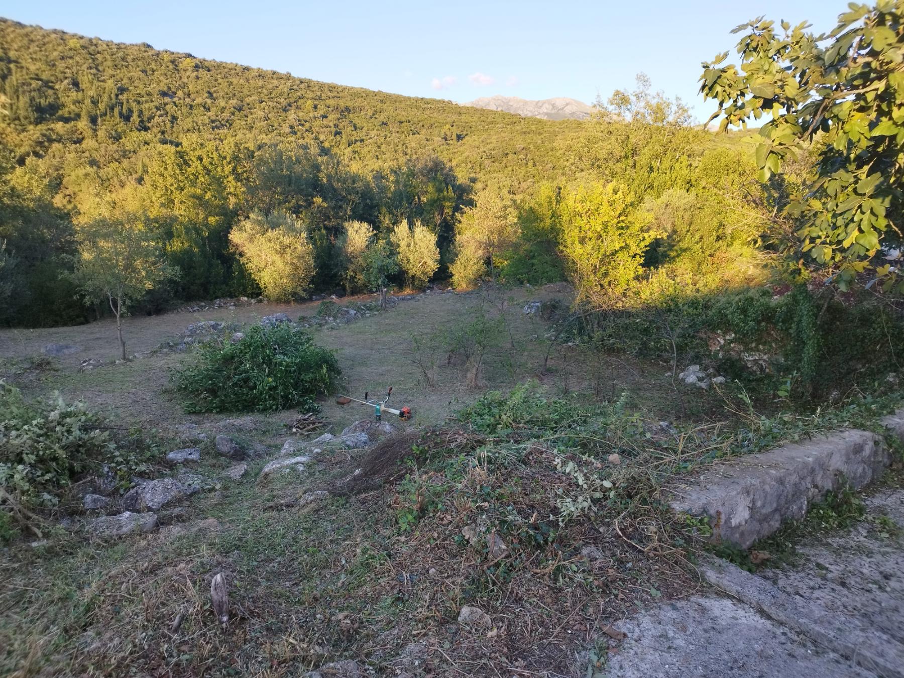 Donji Grbalj'de 1100m2'lik Arazi - 2
