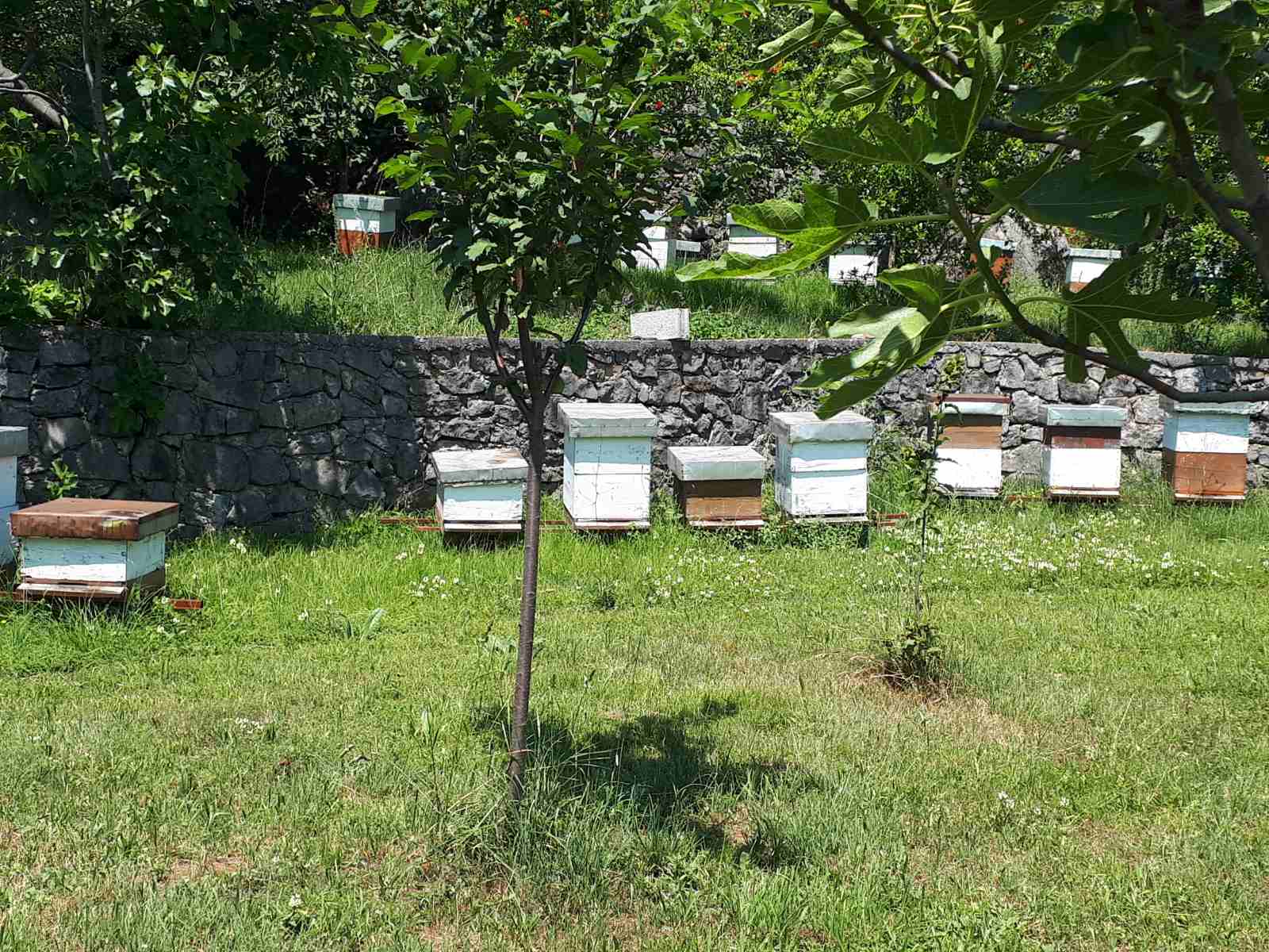 Houses Podgorica 215m2 - 19