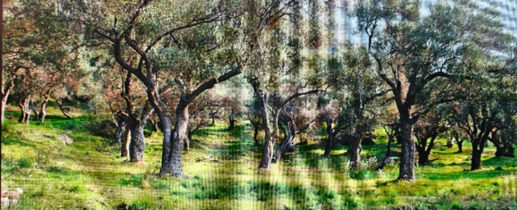 Урбанизированный участок Петровац 1208m2 - 2