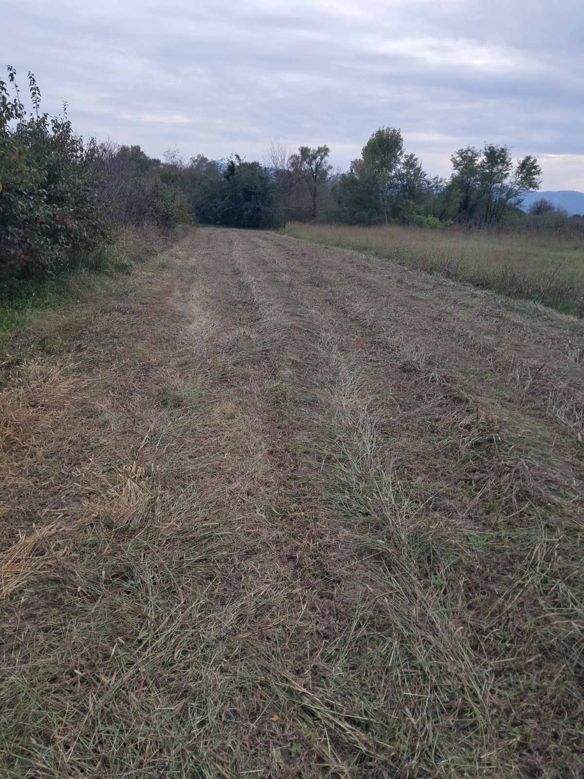 Plot Zeta 3000m2 - 2