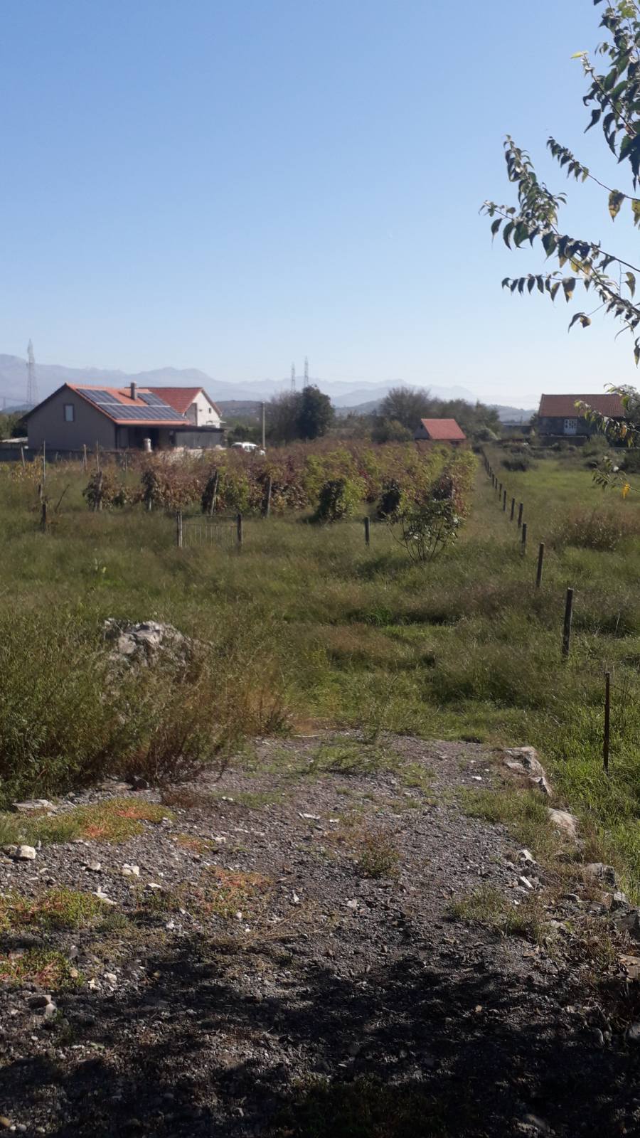 Urbanized Plot Beri 1546m2 - 2