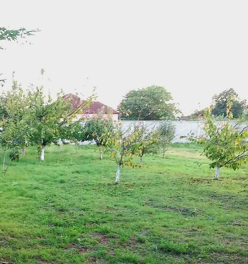 Zemljiste Donji Kokoti 2473m2 - 3
