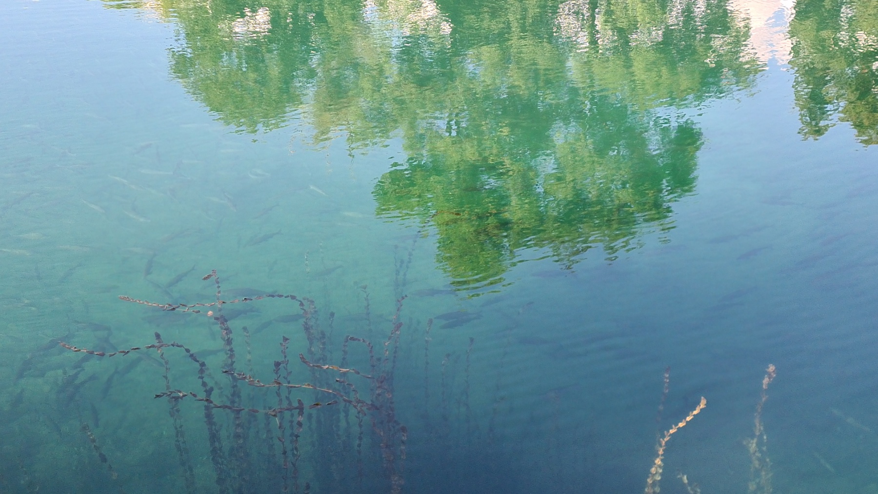 Danilovgrad'da 4430m2'lik Kentsel Arazi - 10