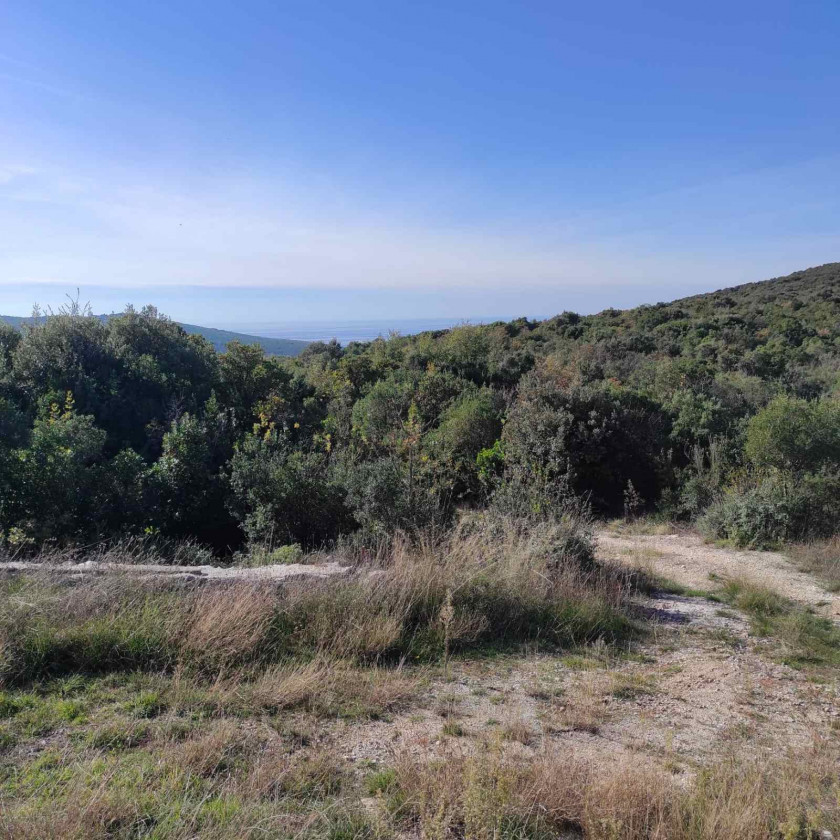 Урбанизированный участок Кубаши 780м2