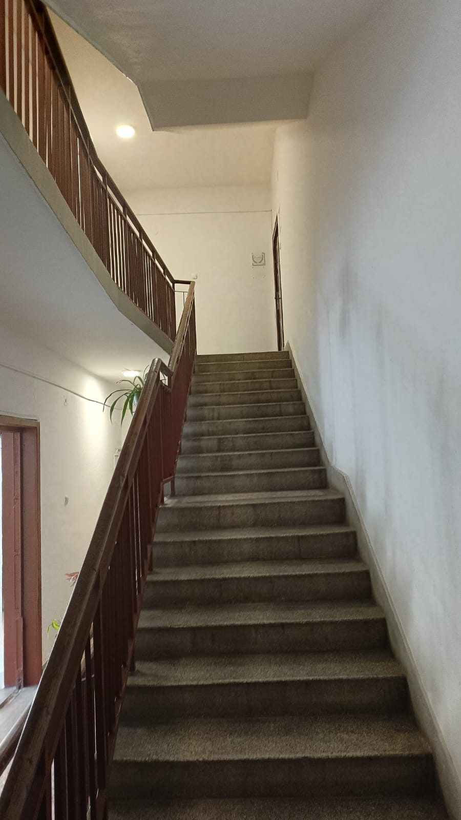 Stan Preko Morace 55m2 - 6