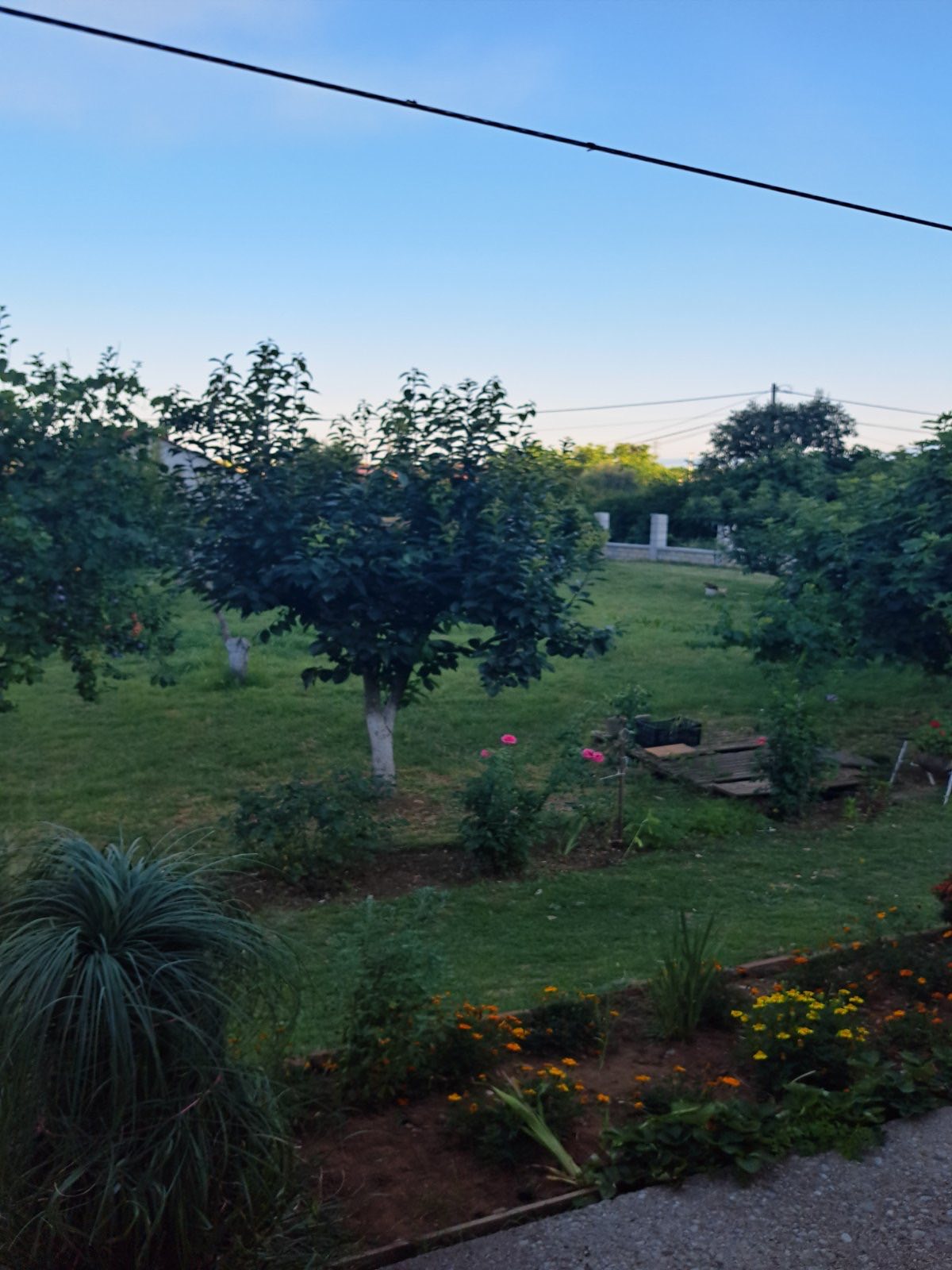 Zabjelo'da Kentsellesmis Arazi - 2