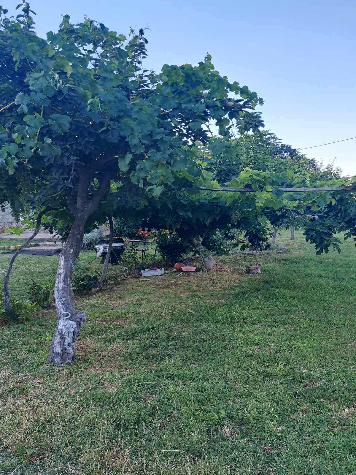 Urbanized Land Zabjelo 16000m2