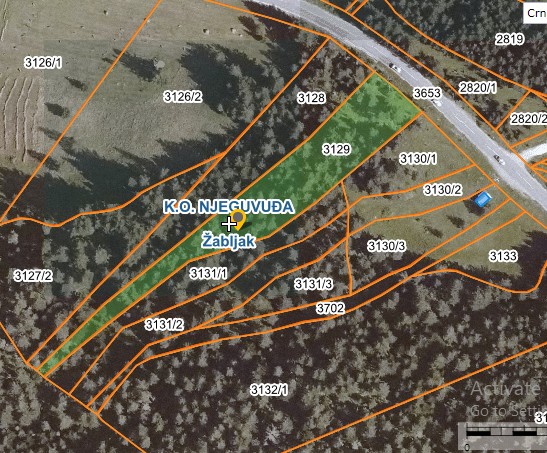 Zemljiste Borje 3100m2 - 2